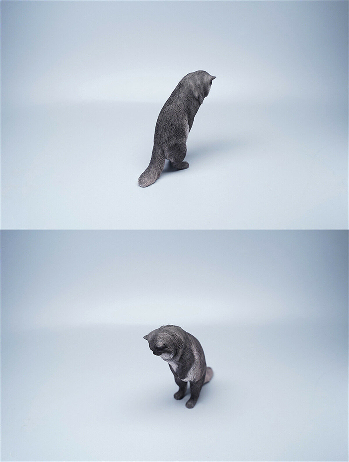 JXK 1/6 Maine Coon Model Animal Cute Cat Funny Collector Realistic Photo Props Soldier Decor Kids Educational Gift Toy In Stock