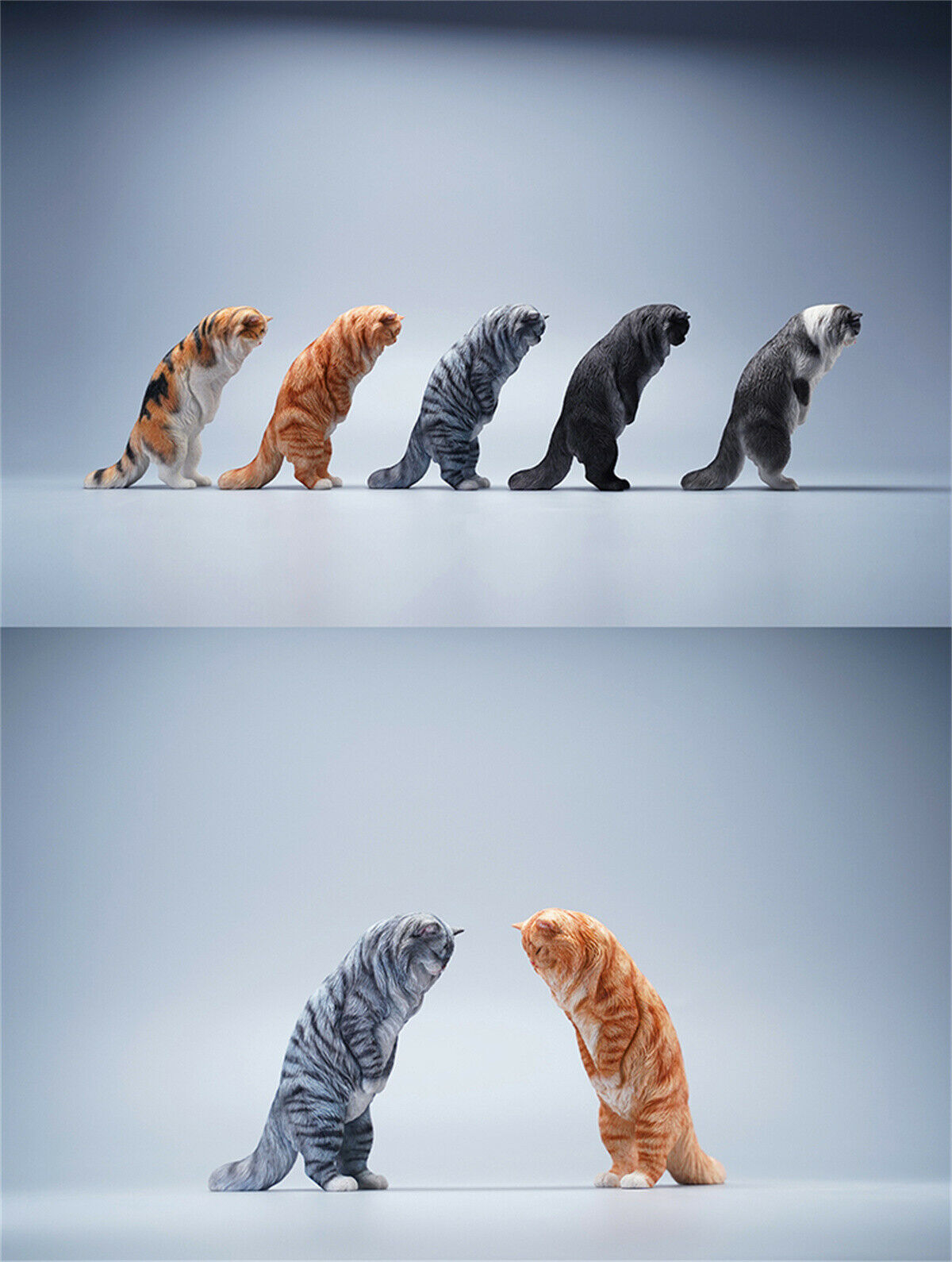 JXK 1/6 Maine Coon Model Animal Cute Cat Funny Collector Realistic Photo Props Soldier Decor Kids Educational Gift Toy In Stock