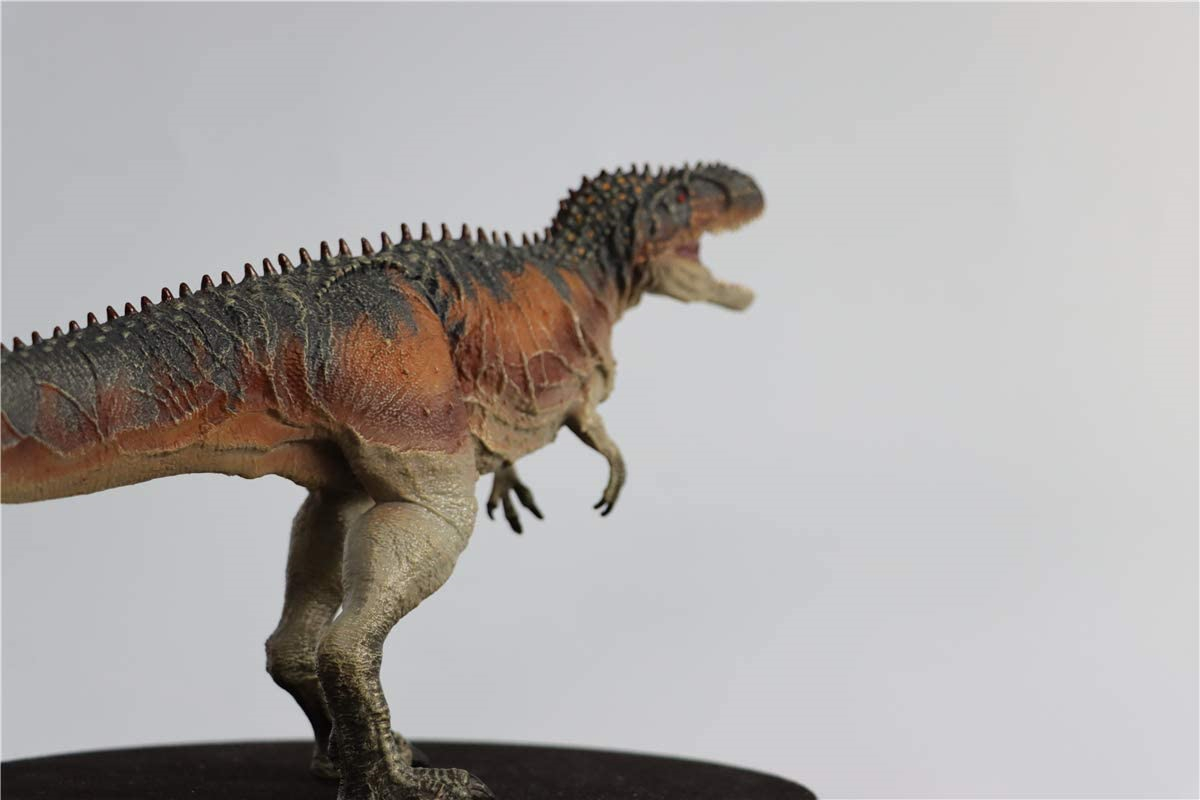 IN STOCK Giganotosaurus Figure Realistic Carcharodontosauridae Dinosaur PVC Model Unisex Adults Kid Gift Toy Collector Decor IN STOCK Giganotosaurus Figure Realistic Carcharodontosauridae Dinosaur PVC Model Unisex Adults Kid Gift Toy Collector Decor
