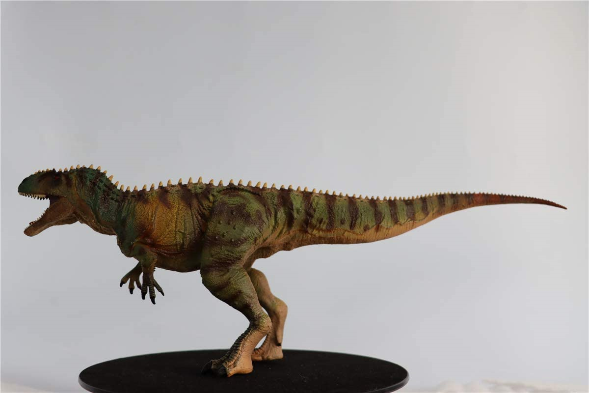 IN STOCK Giganotosaurus Figure Realistic Carcharodontosauridae Dinosaur PVC Model Unisex Adults Kid Gift Toy Collector Decor IN STOCK Giganotosaurus Figure Realistic Carcharodontosauridae Dinosaur PVC Model Unisex Adults Kid Gift Toy Collector Decor