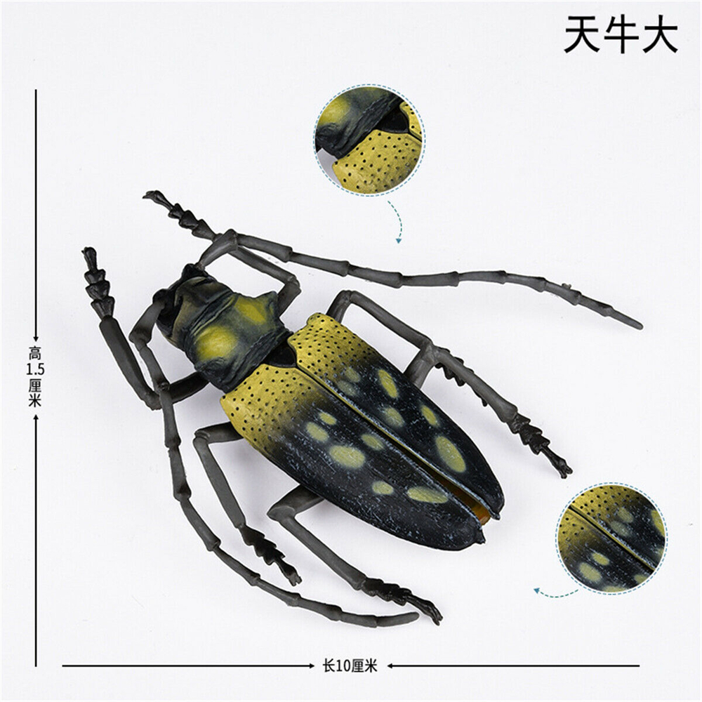Simulation Animal Insect Dragonfly Butterfly Mantis Spider Bee Dynastes Hispellinus Cerambycidae Locust Kids Toy