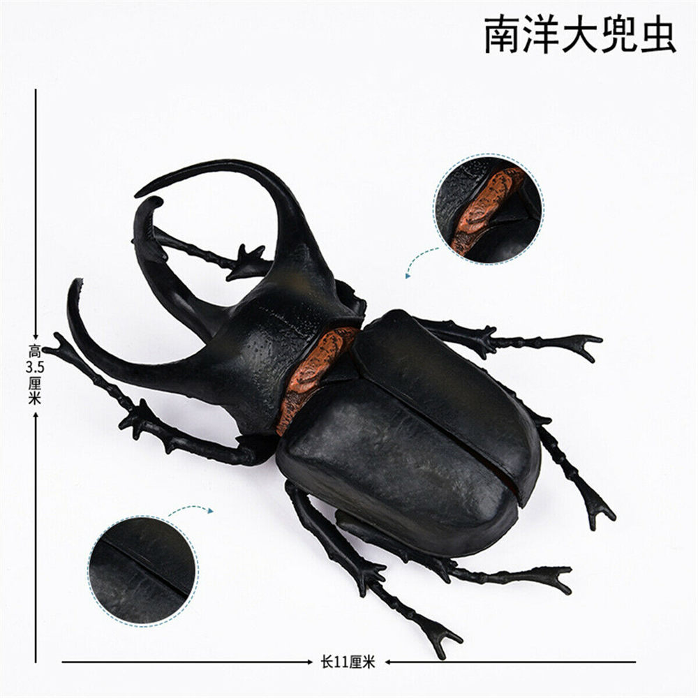 Simulation Animal Insect Dragonfly Butterfly Mantis Spider Bee Dynastes Hispellinus Cerambycidae Locust Kids Toy