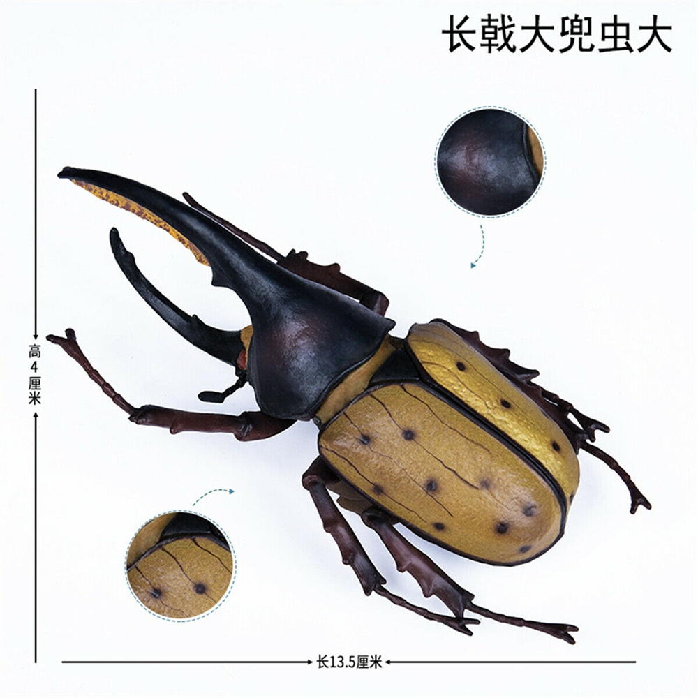 Simulation Animal Insect Dragonfly Butterfly Mantis Spider Bee Dynastes Hispellinus Cerambycidae Locust Kids Toy