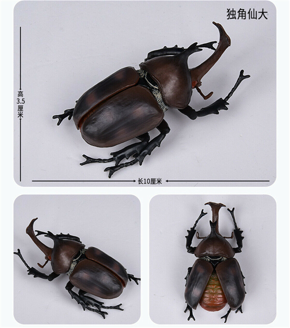 Simulation Animal Insect Dragonfly Butterfly Mantis Spider Bee Dynastes Hispellinus Cerambycidae Locust Kids Toy