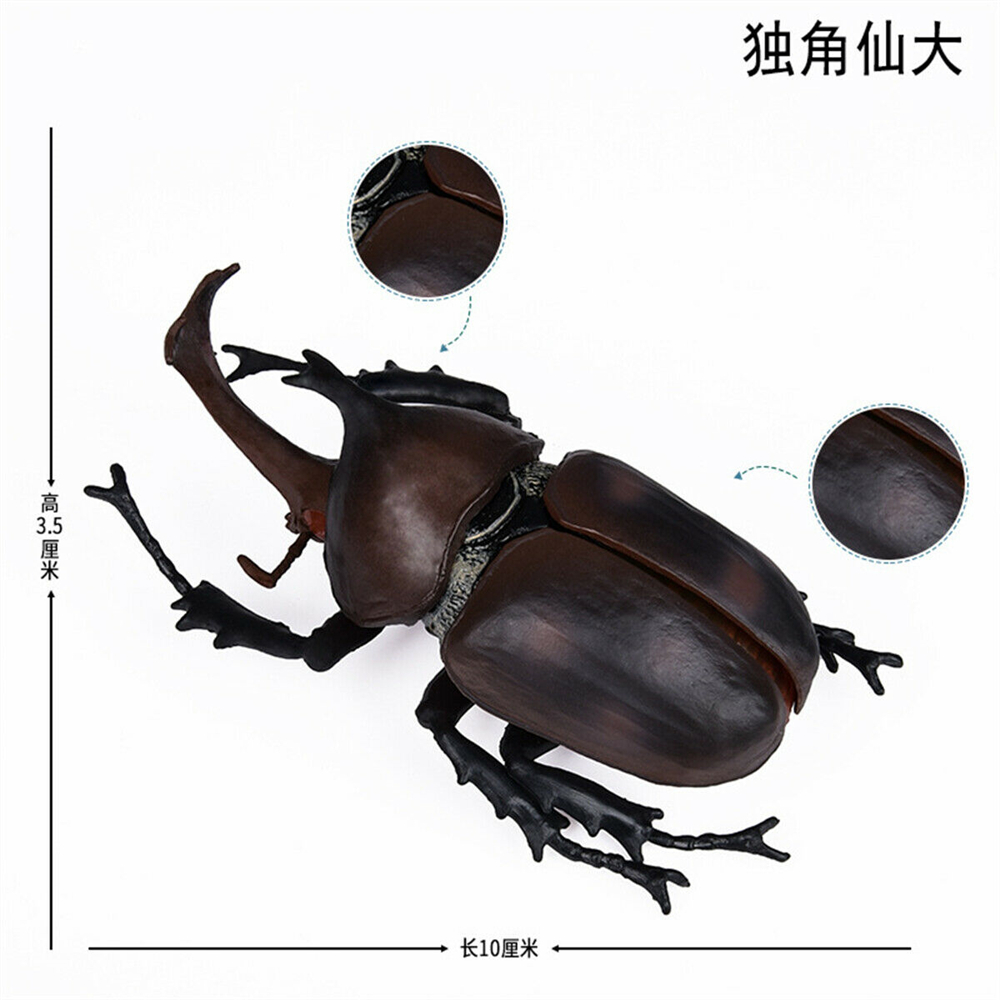 Simulation Animal Insect Dragonfly Butterfly Mantis Spider Bee Dynastes Hispellinus Cerambycidae Locust Kids Toy