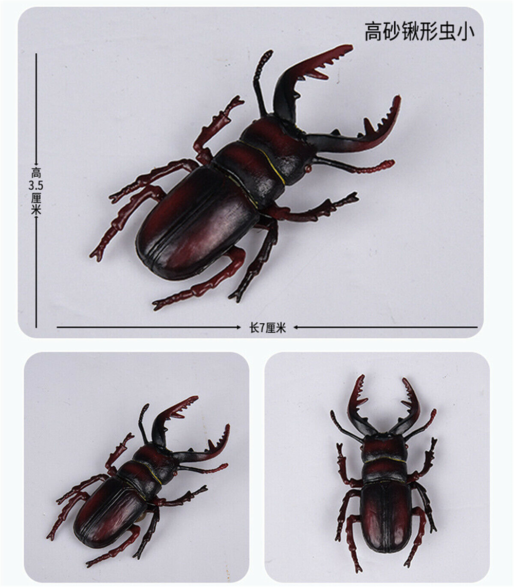 Simulation Animal Insect Dragonfly Butterfly Mantis Spider Bee Dynastes Hispellinus Cerambycidae Locust Kids Toy