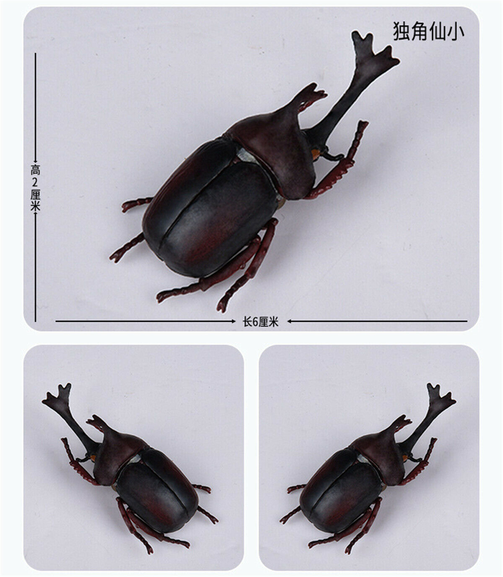 Simulation Animal Insect Dragonfly Butterfly Mantis Spider Bee Dynastes Hispellinus Cerambycidae Locust Kids Toy
