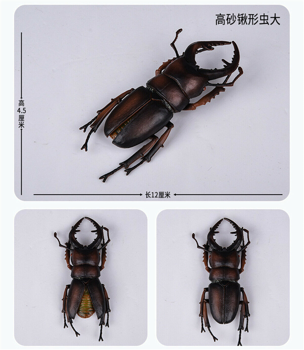 Simulation Animal Insect Dragonfly Butterfly Mantis Spider Bee Dynastes Hispellinus Cerambycidae Locust Kids Toy