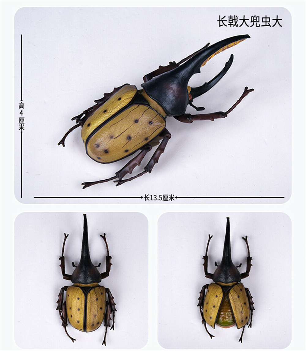 Simulation Animal Insect Dragonfly Butterfly Mantis Spider Bee Dynastes Hispellinus Cerambycidae Locust Kids Toy