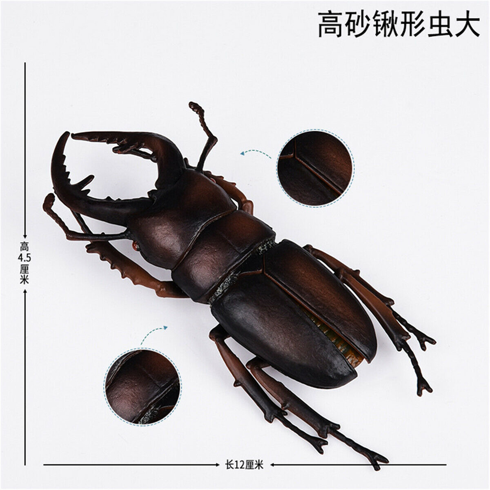 Simulation Animal Insect Dragonfly Butterfly Mantis Spider Bee Dynastes Hispellinus Cerambycidae Locust Kids Toy
