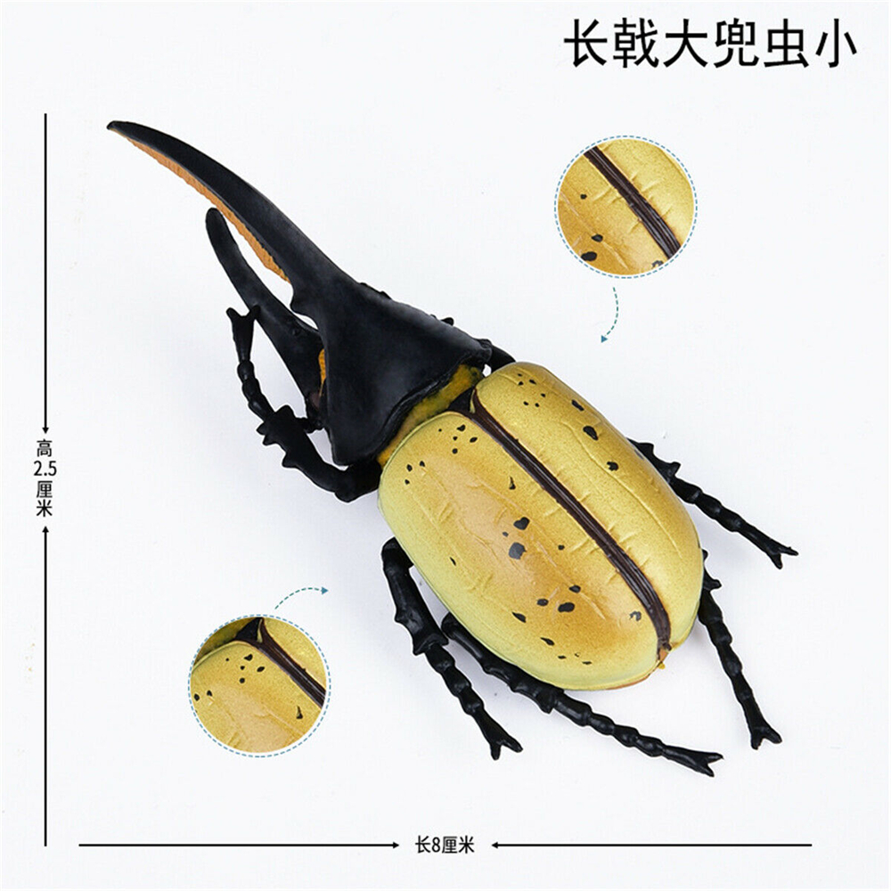 Simulation Animal Insect Dragonfly Butterfly Mantis Spider Bee Dynastes Hispellinus Cerambycidae Locust Kids Toy