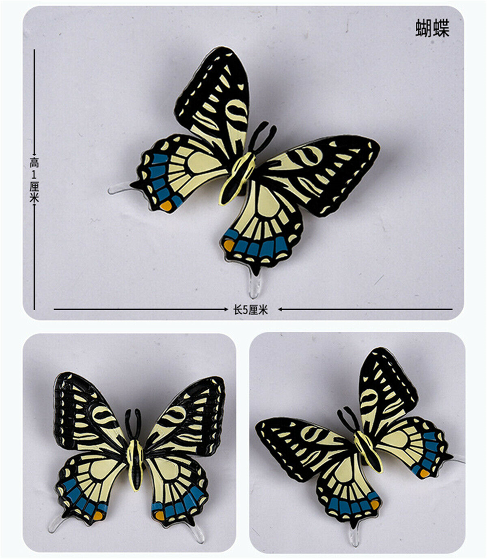 Simulation Animal Insect Dragonfly Butterfly Mantis Spider Bee Dynastes Hispellinus Cerambycidae Locust Kids Toy