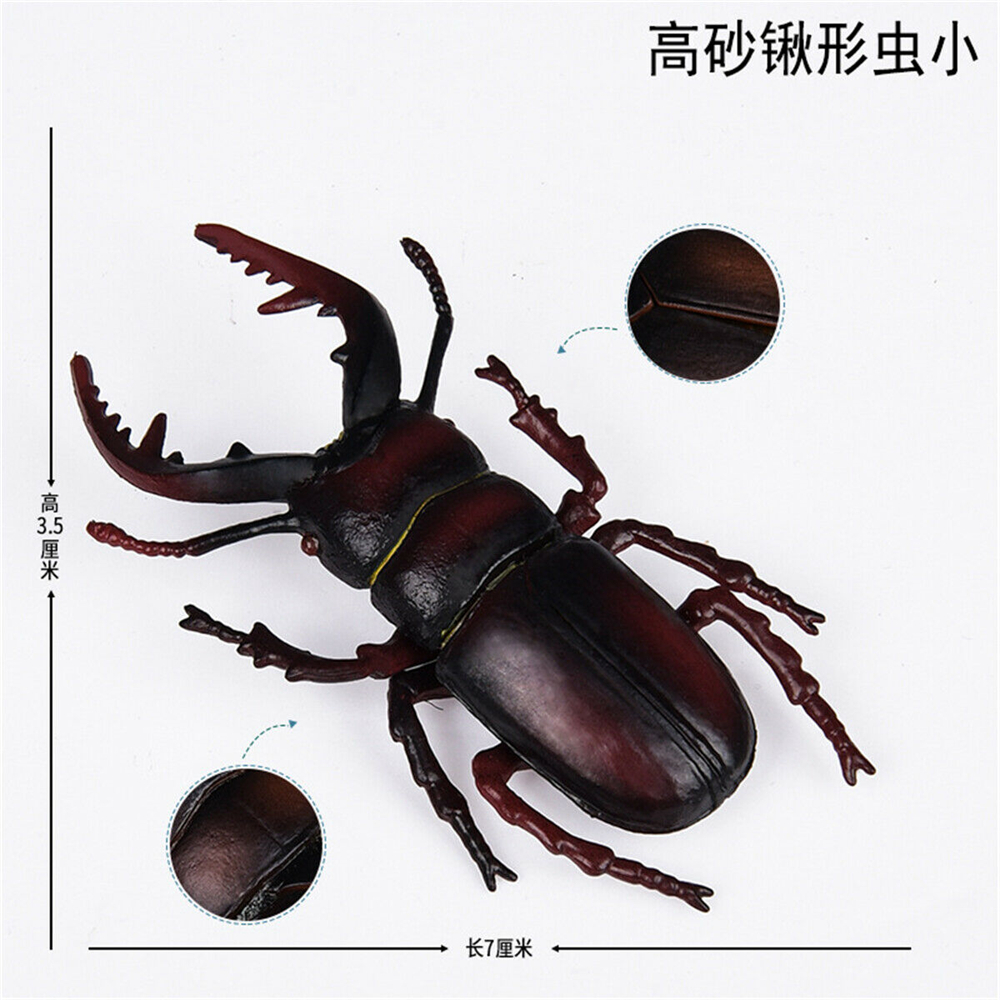 Simulation Animal Insect Dragonfly Butterfly Mantis Spider Bee Dynastes Hispellinus Cerambycidae Locust Kids Toy
