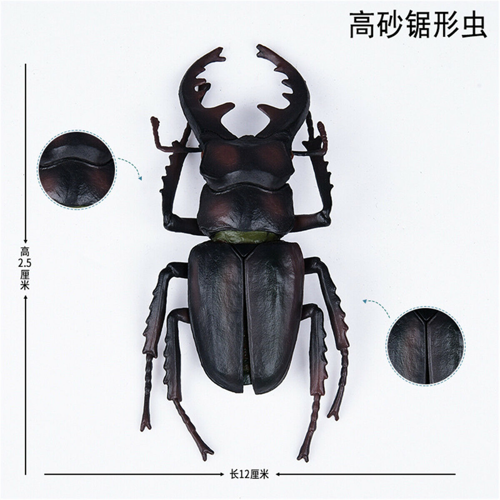 Simulation Animal Insect Dragonfly Butterfly Mantis Spider Bee Dynastes Hispellinus Cerambycidae Locust Kids Toy