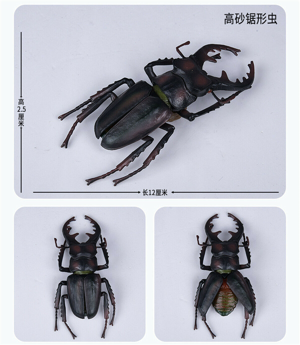 Simulation Animal Insect Dragonfly Butterfly Mantis Spider Bee Dynastes Hispellinus Cerambycidae Locust Kids Toy