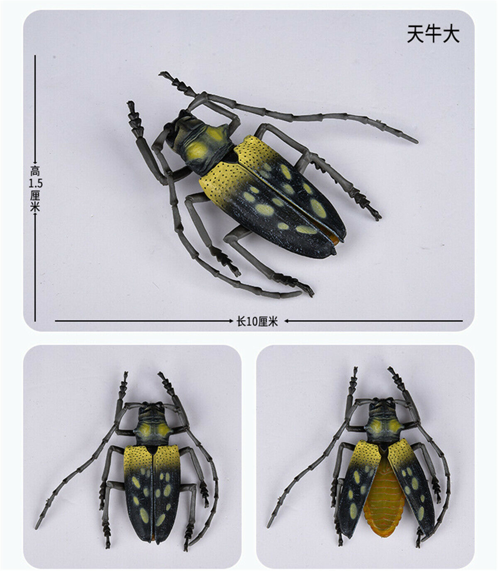 Simulation Animal Insect Dragonfly Butterfly Mantis Spider Bee Dynastes Hispellinus Cerambycidae Locust Kids Toy