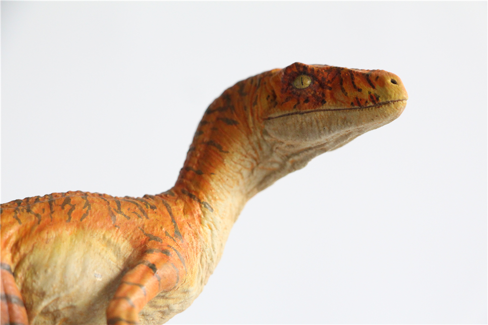 DINO DREAM 1:15 Scale Velociraptor Raptor Tiger Figure Dromaeosauridae Dinosaur Model Collector Animal Adult Toy Gift