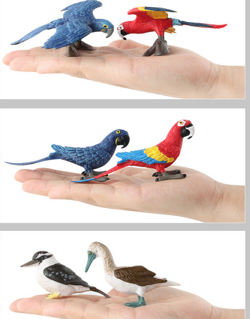 Simulation Parrot Macaw Booby Small Bird Figure Animal model Toy Collector Education Figurine Decoration Gift For Kids Toys Simulation Parrot Macaw Booby Small Bird Figure Animal model Toy Collector Education Figurine Decoration Gift For Kids Toys