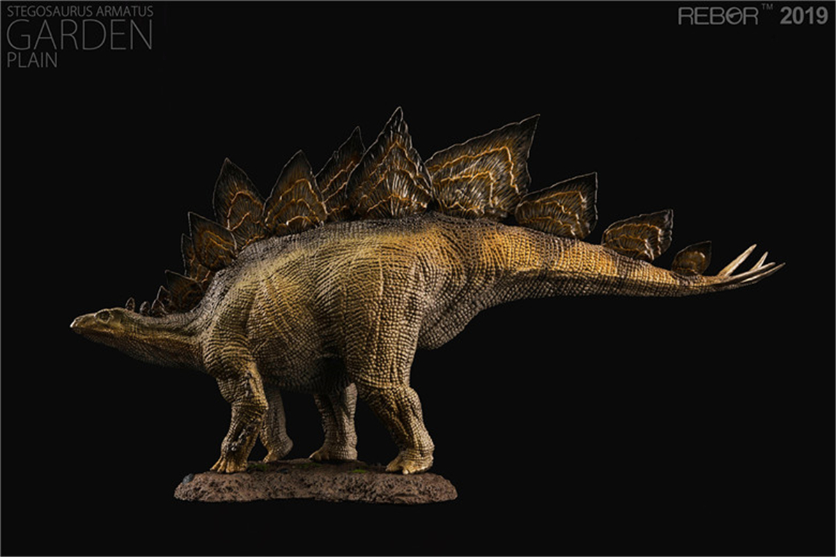 REBOR 1:35 Stegosaurus Armatus with Base Garden Statue Stegosauridae Jurassic Dinosaur Figure Animal Model Toy Collector Adult