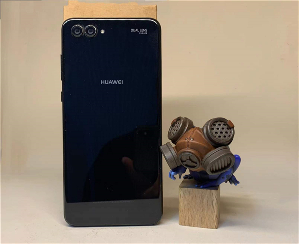 Frog Planet Realistic Frog Model Mystery Box Animal Collector Poisondartfrog Decor Toy Rhinella Marina Megophrys Nasuta Gift