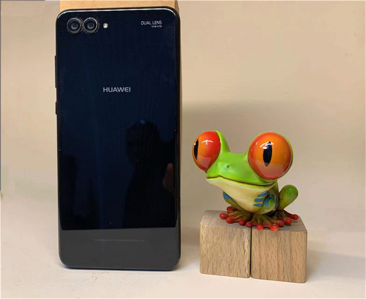 Frog Planet Realistic Frog Model Mystery Box Animal Collector Poisondartfrog Decor Toy Rhinella Marina Megophrys Nasuta Gift