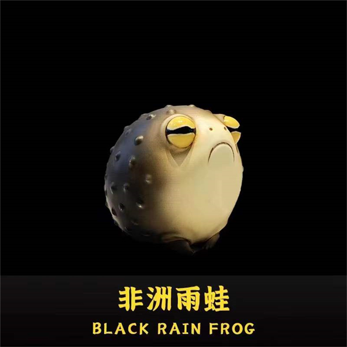 Frog Planet Realistic Frog Model Mystery Box Animal Collector Poisondartfrog Decor Toy Rhinella Marina Megophrys Nasuta Gift