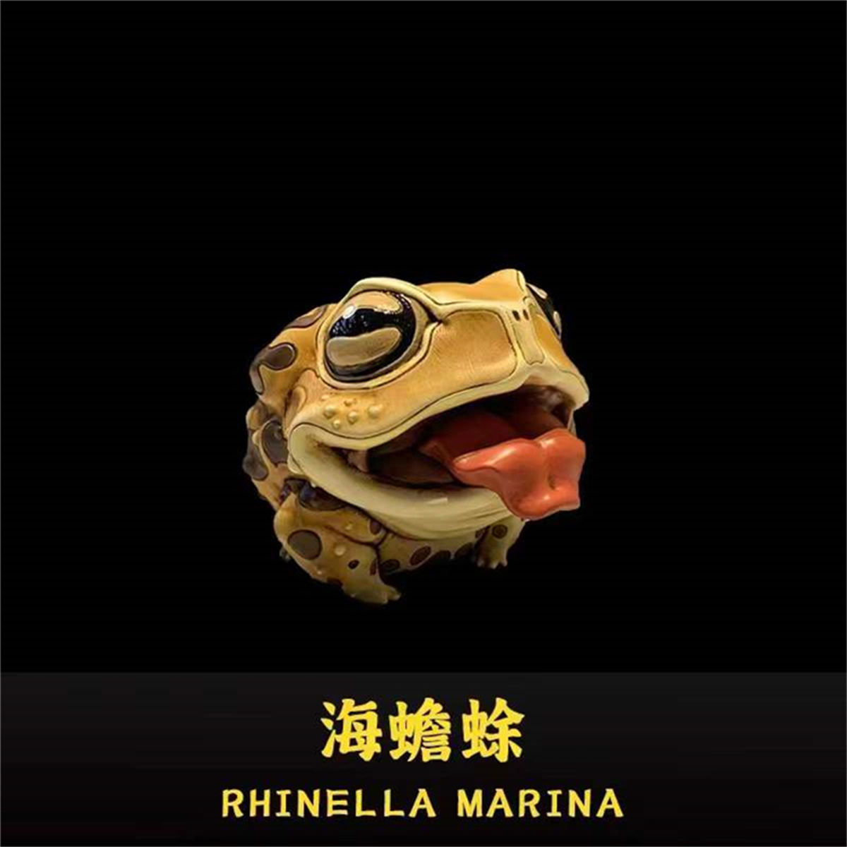 Frog Planet Realistic Frog Model Mystery Box Animal Collector Poisondartfrog Decor Toy Rhinella Marina Megophrys Nasuta Gift