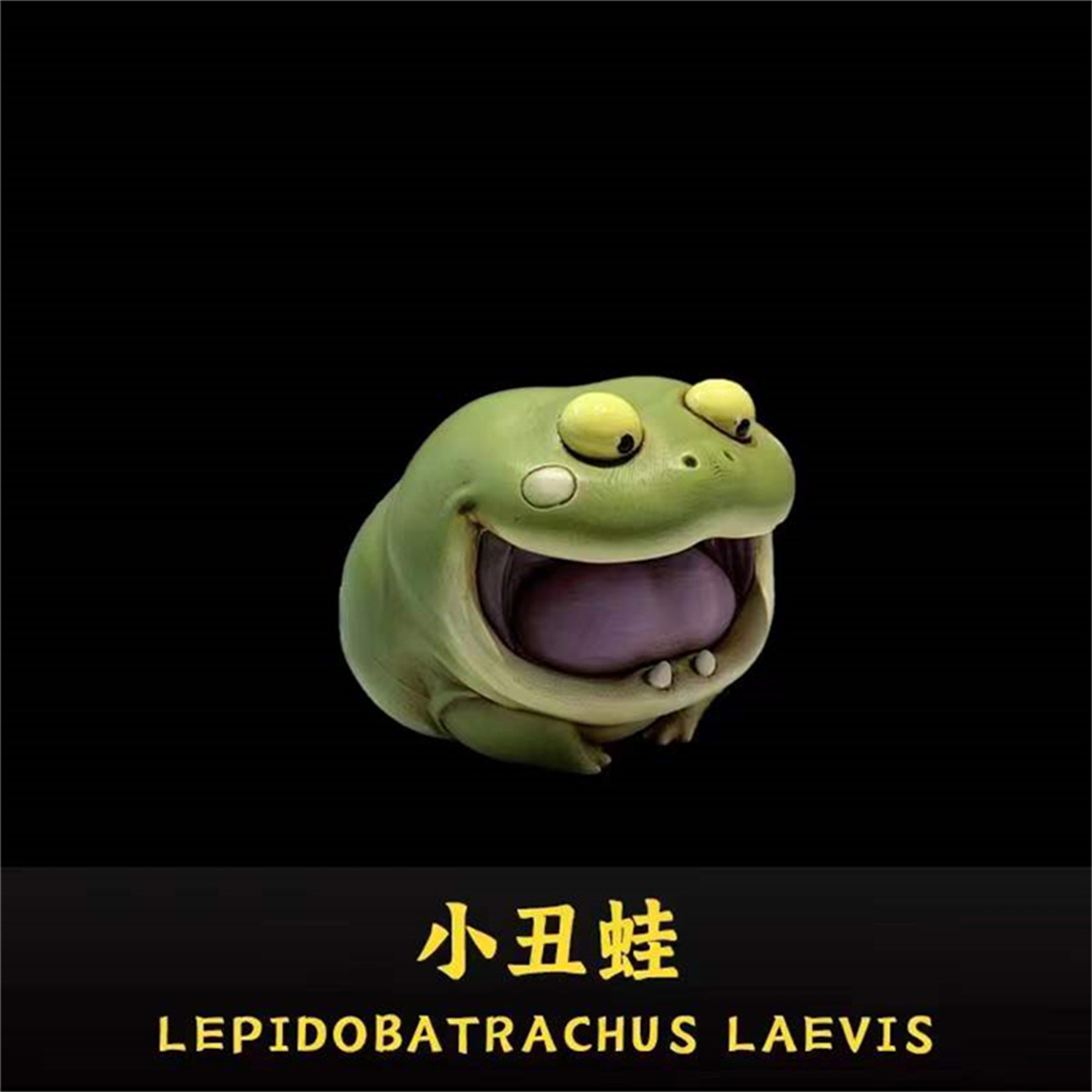 Frog Planet Realistic Frog Model Mystery Box Animal Collector Poisondartfrog Decor Toy Rhinella Marina Megophrys Nasuta Gift