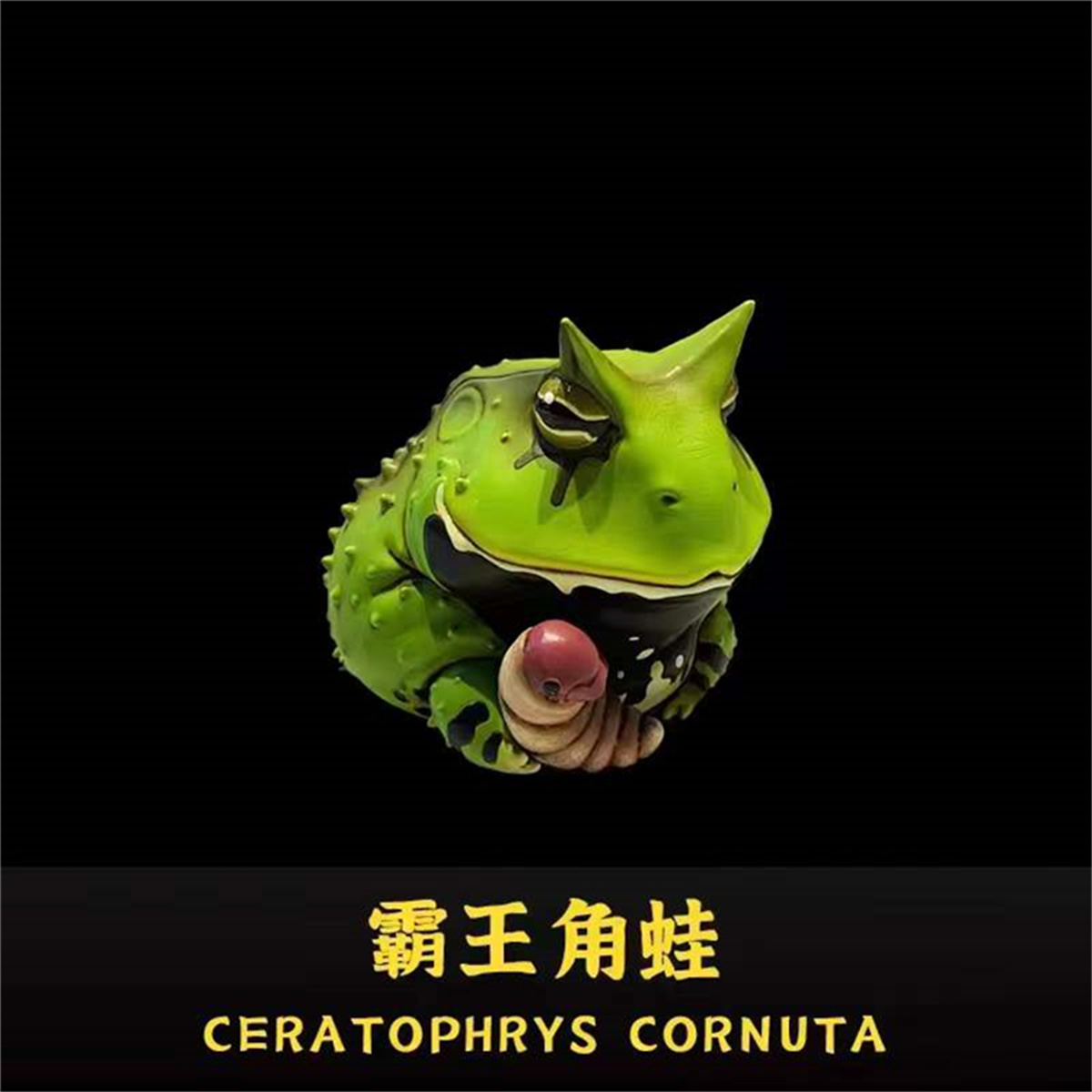 Frog Planet Realistic Frog Model Mystery Box Animal Collector Poisondartfrog Decor Toy Rhinella Marina Megophrys Nasuta Gift