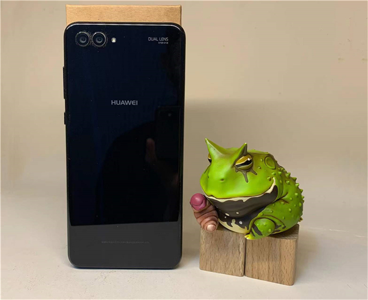 Frog Planet Realistic Frog Model Mystery Box Animal Collector Poisondartfrog Decor Toy Rhinella Marina Megophrys Nasuta Gift