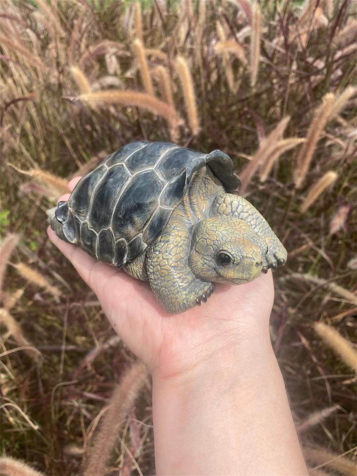 Galapagos Giant Tortoise Model Animal Chelonoidis galapagoensis Collector Decoration Testudinidae Geochelone Gift Realistic Toy