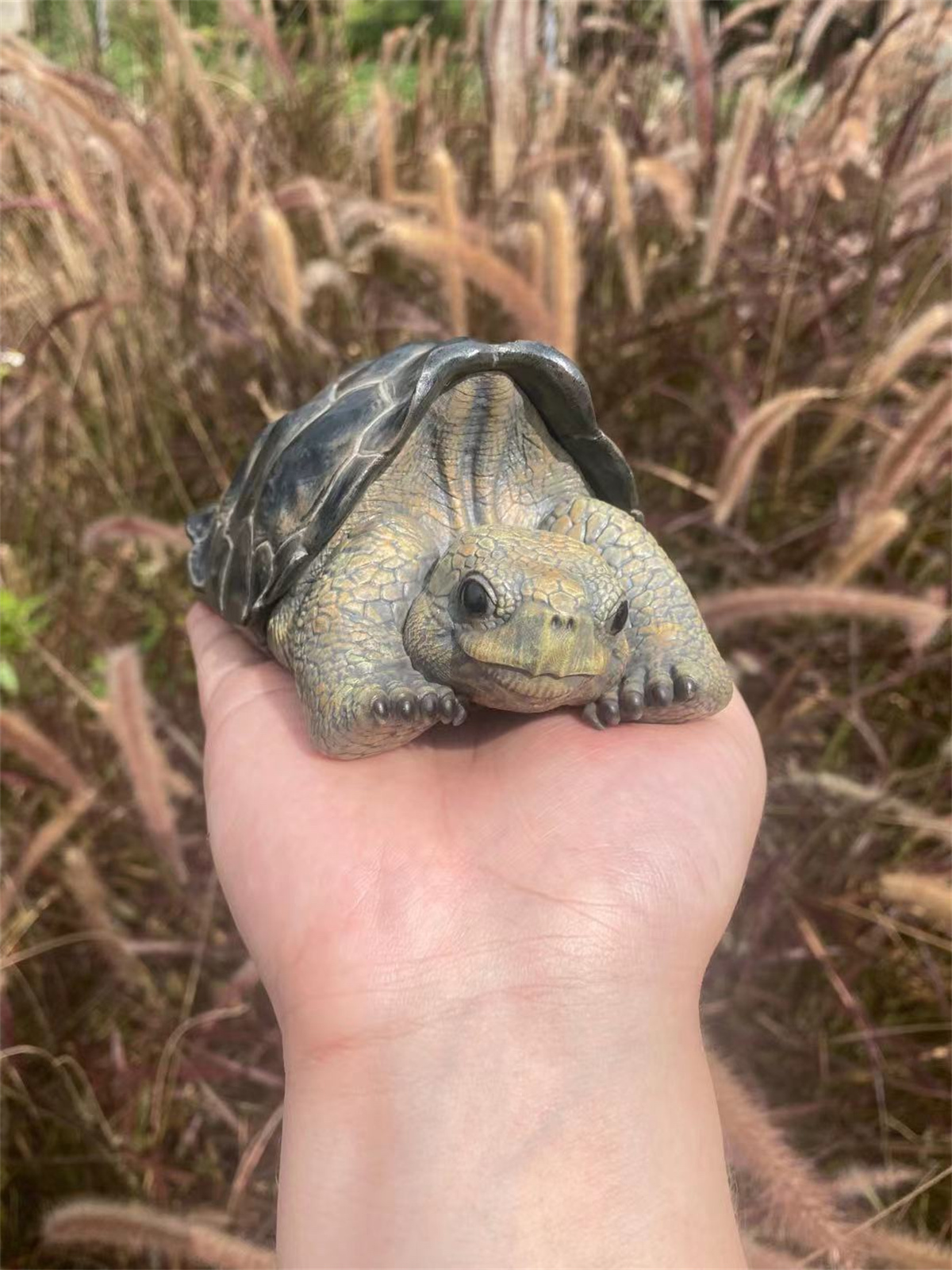 Galapagos Giant Tortoise Model Animal Chelonoidis galapagoensis Collector Decoration Testudinidae Geochelone Gift Realistic Toy