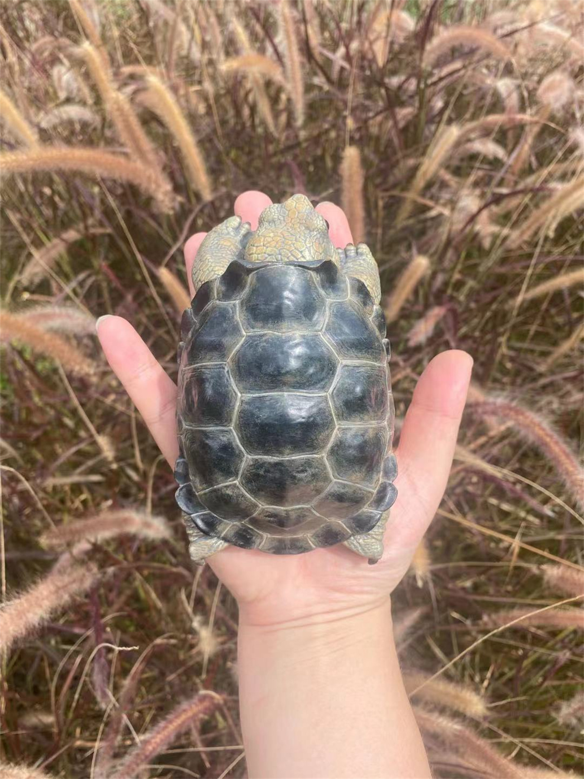 Galapagos Giant Tortoise Model Animal Chelonoidis galapagoensis Collector Decoration Testudinidae Geochelone Gift Realistic Toy