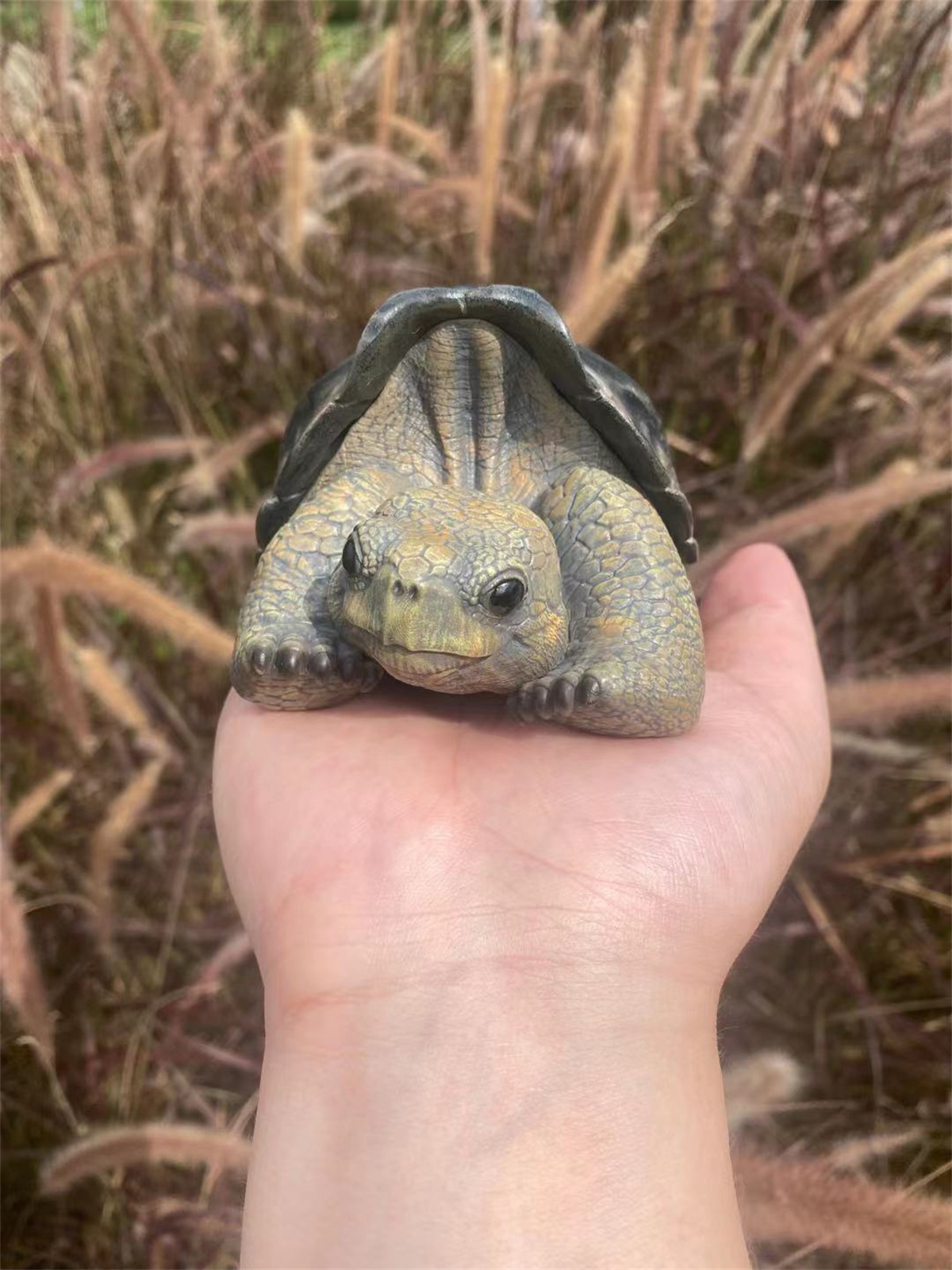 Galapagos Giant Tortoise Model Animal Chelonoidis galapagoensis Collector Decoration Testudinidae Geochelone Gift Realistic Toy