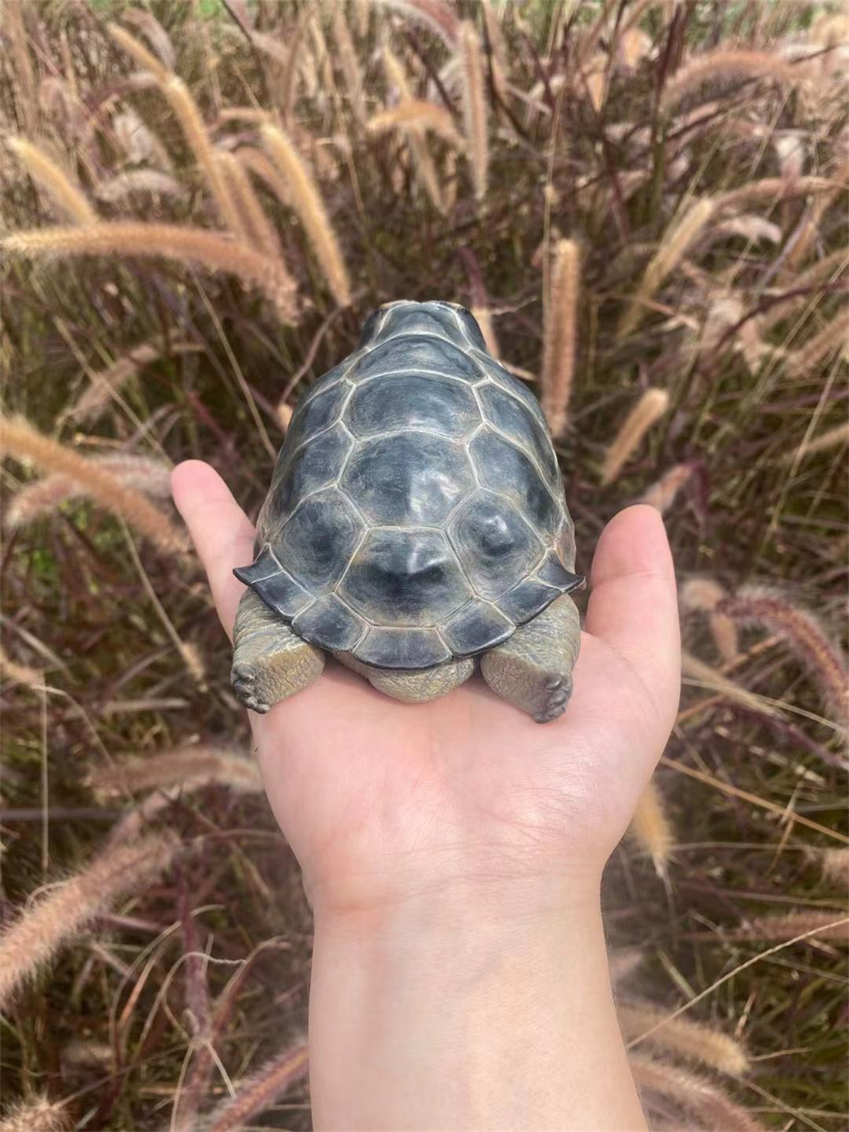 Galapagos Giant Tortoise Model Animal Chelonoidis galapagoensis Collector Decoration Testudinidae Geochelone Gift Realistic Toy
