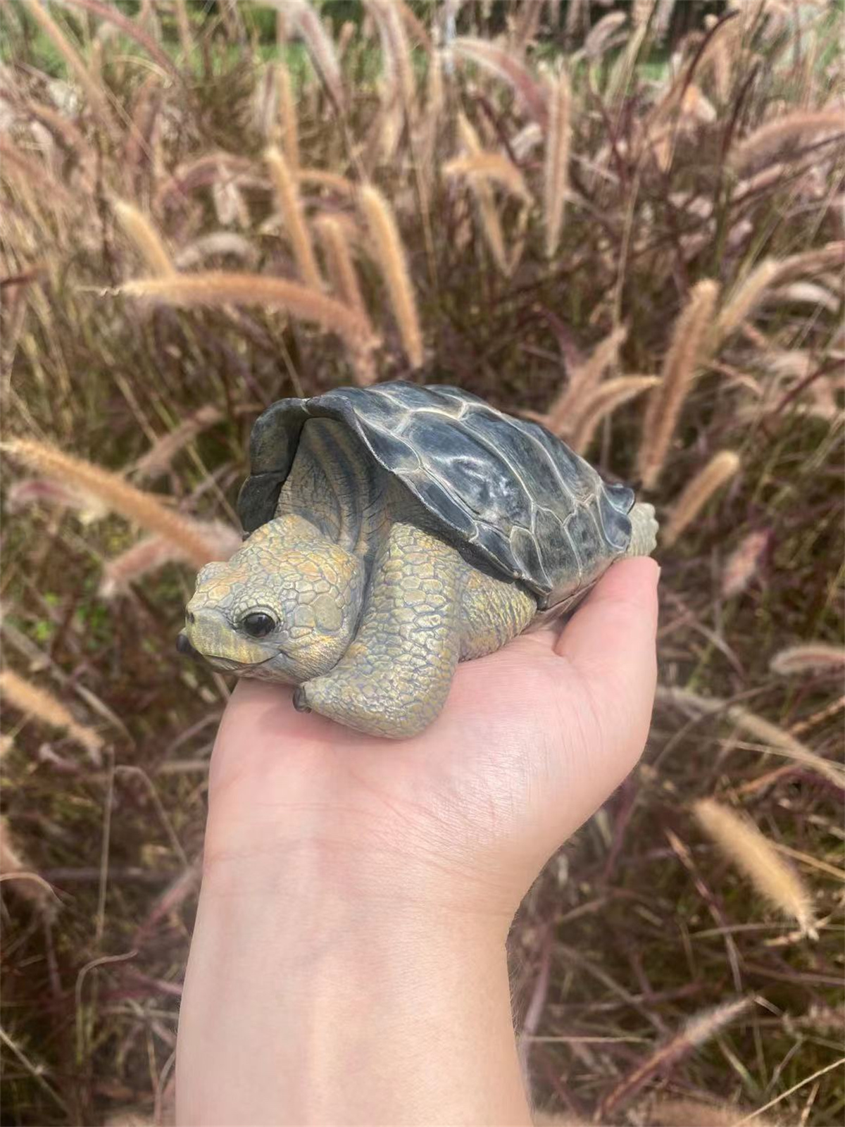 Galapagos Giant Tortoise Model Animal Chelonoidis galapagoensis Collector Decoration Testudinidae Geochelone Gift Realistic Toy