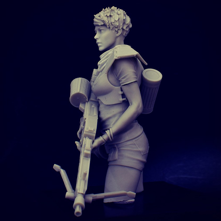 70mm VALKYRIE, Odin Guard Warrior, Resin Model Bust GK, Ancient war, Unassembled and unpainted kit 70mm VALKYRIE, Odin Guard Warrior, Resin Model Bust GK, Ancient war, Unassembled and unpainted kit