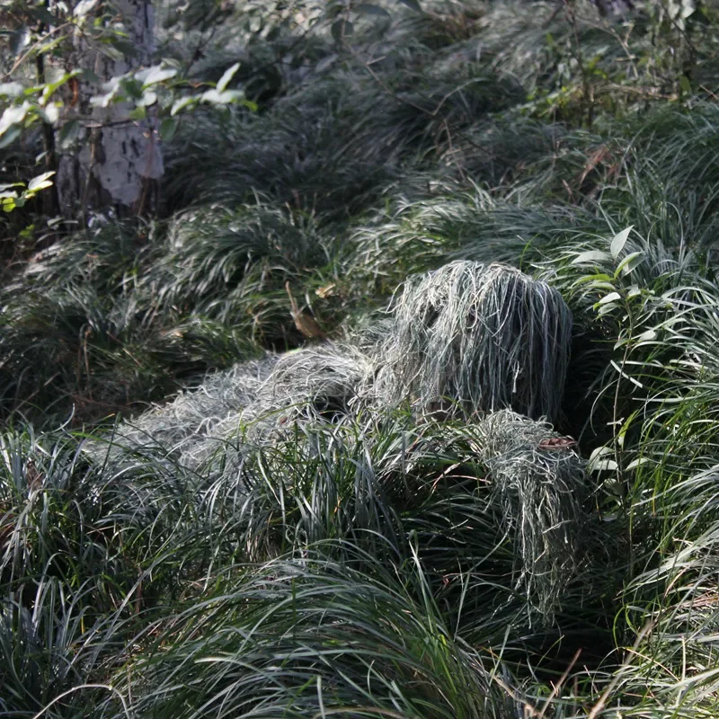 Camouflage suit 3D withered grass Ghillie set, 5-piece hunting suit hunting suit set Camouflage suit 3D withered grass Ghillie set, 5-piece hunting suit hunting suit set