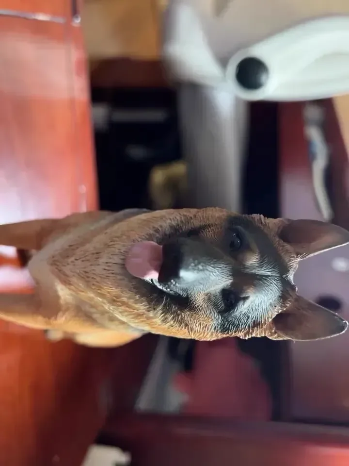 3 Colors 1/6 Scale Simulation German Shepherd Dog Police Dog Resin Model for 12 inch Action Figure Scene Accessories Decorantion 3 Colors 1/6 Scale Simulation German Shepherd Dog Police Dog Resin Model for 12 inch Action Figure Scene Accessories Decorantion