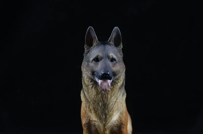 3 Colors 1/6 Scale Simulation German Shepherd Dog Police Dog Resin Model for 12 inch Action Figure Scene Accessories Decorantion 3 Colors 1/6 Scale Simulation German Shepherd Dog Police Dog Resin Model for 12 inch Action Figure Scene Accessories Decorantion