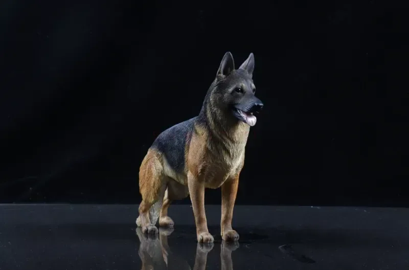 3 Colors 1/6 Scale Simulation German Shepherd Dog Police Dog Resin Model for 12 inch Action Figure Scene Accessories Decorantion 3 Colors 1/6 Scale Simulation German Shepherd Dog Police Dog Resin Model for 12 inch Action Figure Scene Accessories Decorantion