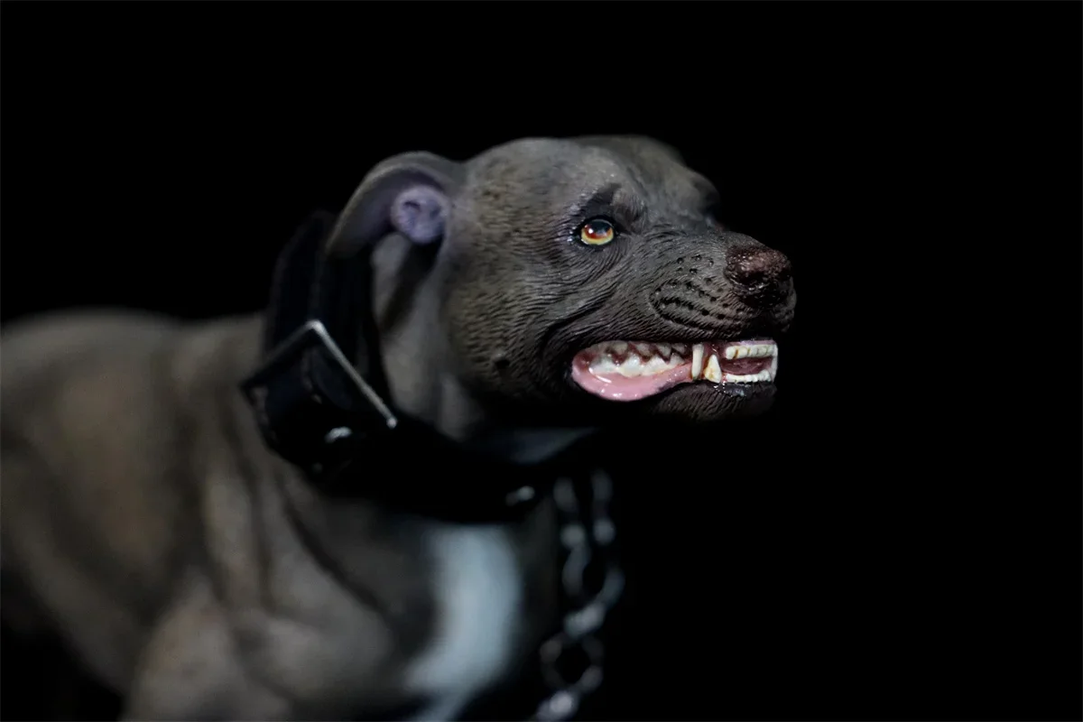 1/6 American Pit Bull Terrier Model Animal Figure Realistic Pet Dog Collector GK Decoration Kids Educational Toy Gift Adult