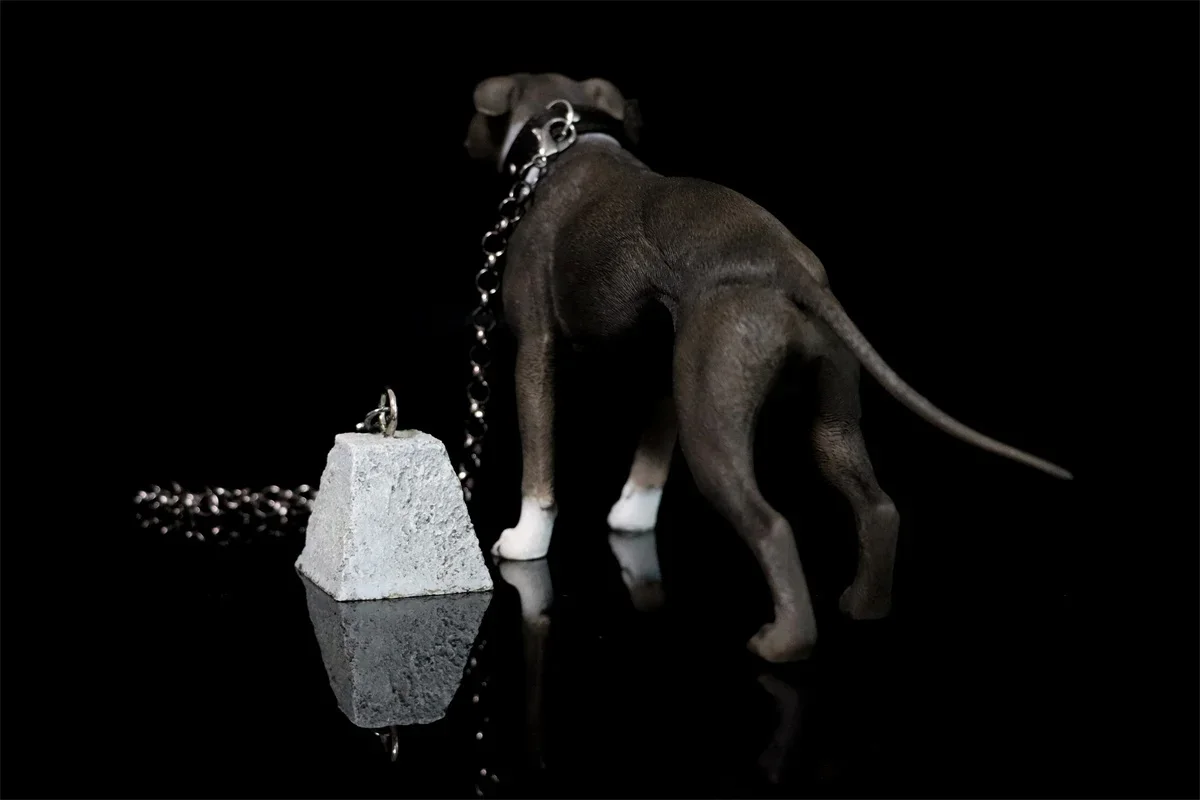 1/6 American Pit Bull Terrier Model Animal Figure Realistic Pet Dog Collector GK Decoration Kids Educational Toy Gift Adult