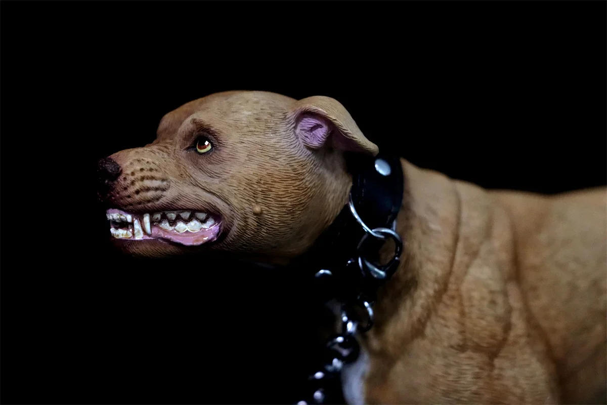 1/6 American Pit Bull Terrier Model Animal Figure Realistic Pet Dog Collector GK Decoration Kids Educational Toy Gift Adult