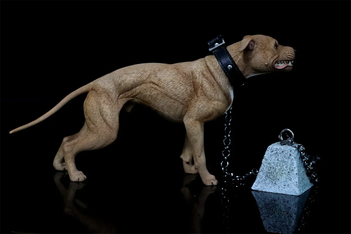 1/6 American Pit Bull Terrier Model Animal Figure Realistic Pet Dog Collector GK Decoration Kids Educational Toy Gift Adult