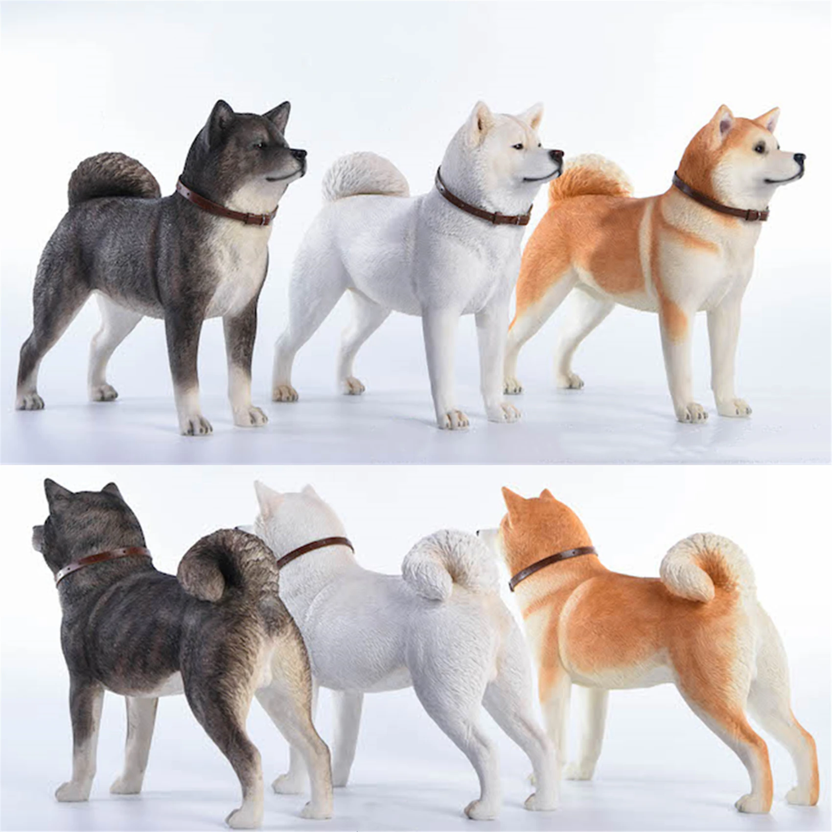 JxK 1:6 Scale Japanese Akita Dog Pet Figure Healing Canidae Animal Collector Toy Resin Desktop Decoration Gift JxK 1:6 Scale Japanese Akita Dog Pet Figure Healing Canidae Animal Collector Toy Resin Desktop Decoration Gift