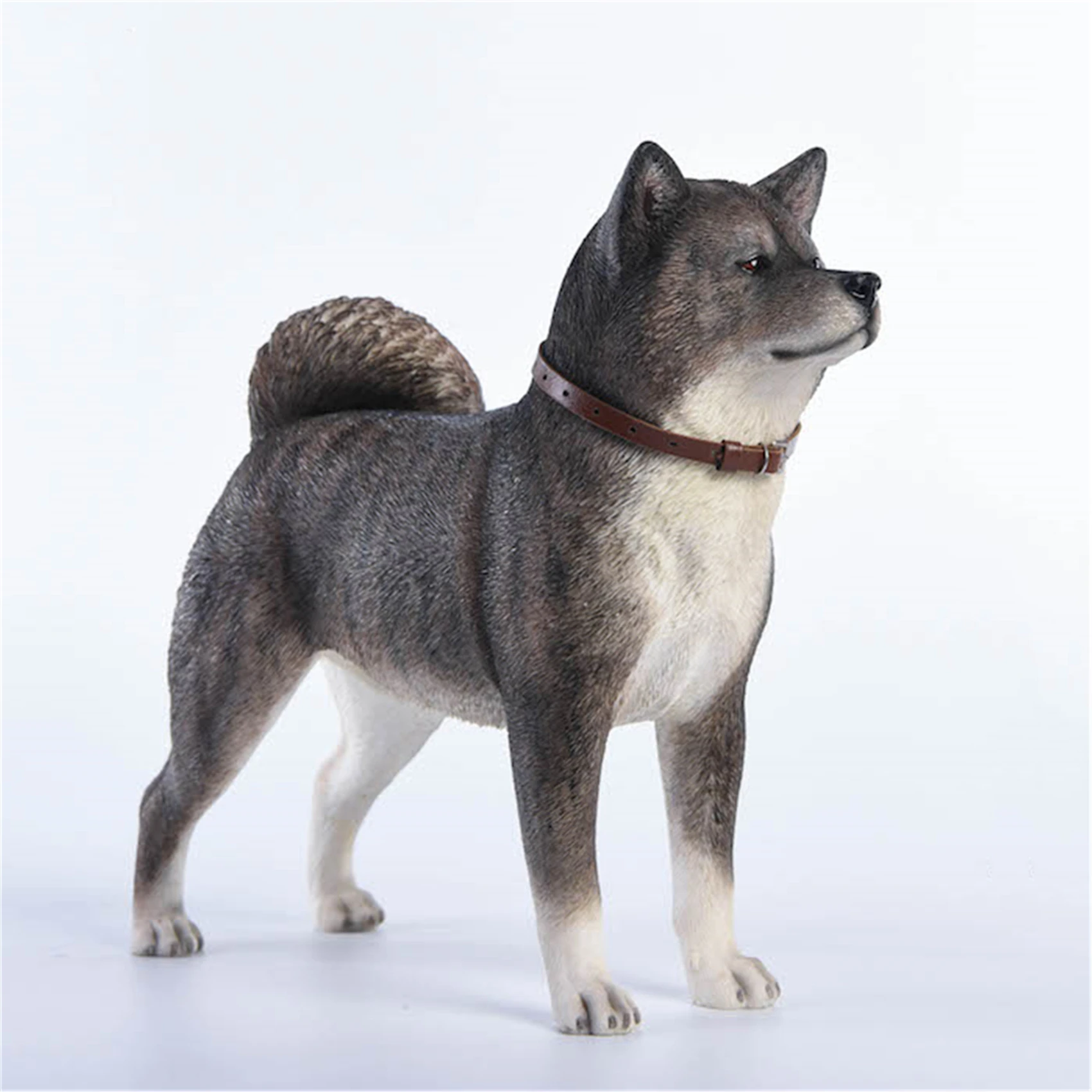 JxK 1:6 Scale Japanese Akita Dog Pet Figure Healing Canidae Animal Collector Toy Resin Desktop Decoration Gift JxK 1:6 Scale Japanese Akita Dog Pet Figure Healing Canidae Animal Collector Toy Resin Desktop Decoration Gift
