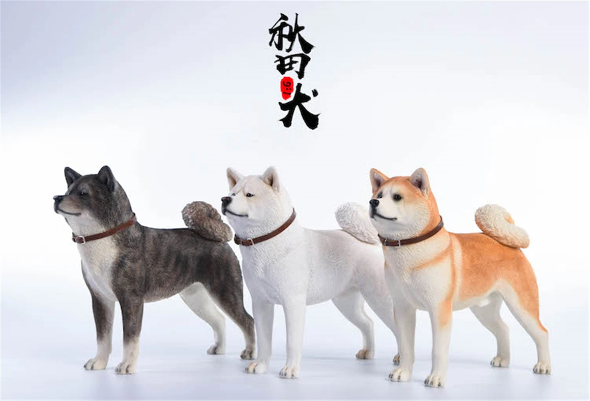 JxK 1:6 Scale Japanese Akita Dog Pet Figure Healing Canidae Animal Collector Toy Resin Desktop Decoration Gift JxK 1:6 Scale Japanese Akita Dog Pet Figure Healing Canidae Animal Collector Toy Resin Desktop Decoration Gift