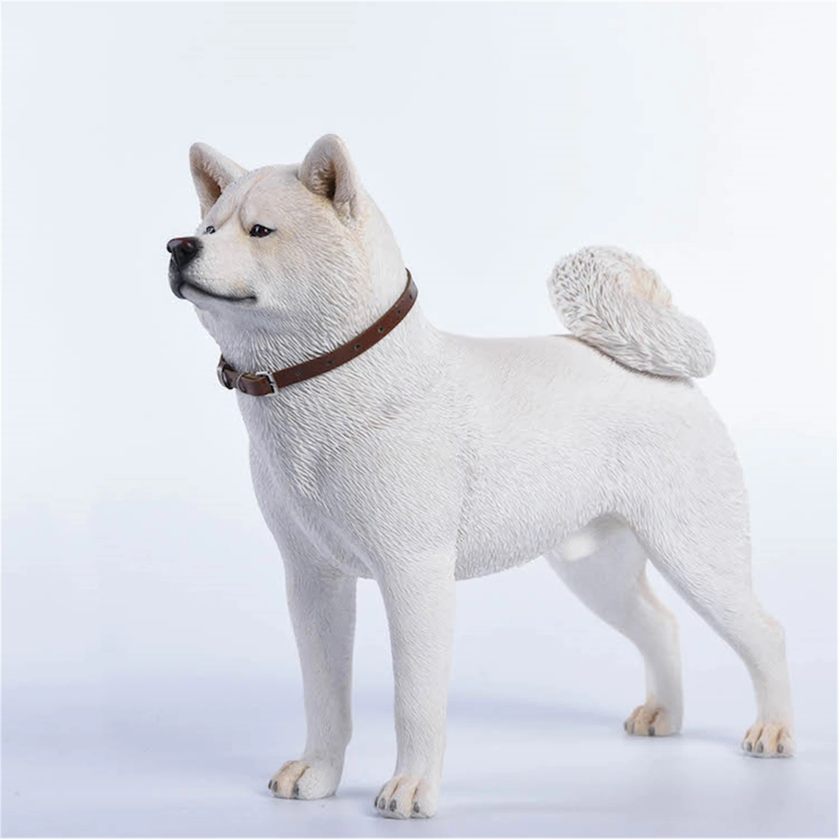 JxK 1:6 Scale Japanese Akita Dog Pet Figure Healing Canidae Animal Collector Toy Resin Desktop Decoration Gift JxK 1:6 Scale Japanese Akita Dog Pet Figure Healing Canidae Animal Collector Toy Resin Desktop Decoration Gift