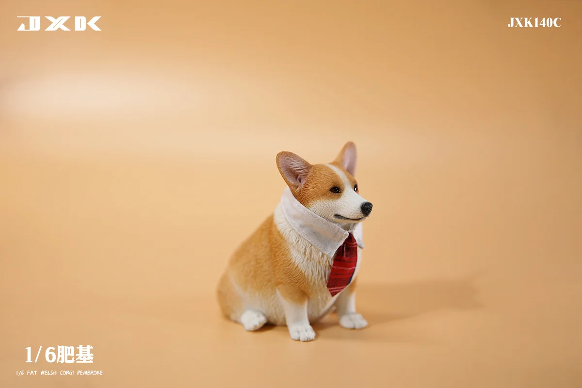 JXK 1/6 Fat Welsh Corgi Pembroke Model Dog Animal Accessory Scene Decoration Kids Educational Realistic Toy Collector Gift